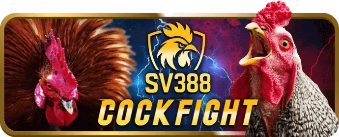 Luật chơi Rồng Hổ Bet69
